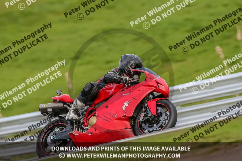 Oulton Park 21st March 2020;PJ Motorsport Photography 2020;anglesey;brands hatch;cadwell park;croft;donington park;enduro digital images;event digital images;eventdigitalimages;mallory;no limits;oulton park;peter wileman photography;racing digital images;silverstone;snetterton;trackday digital images;trackday photos;vmcc banbury run;welsh 2 day enduro